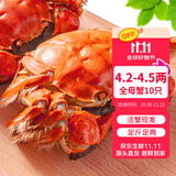 【活蟹】乾澄大闸蟹现货 特大全母蟹4.2-4.5两 10只鲜活螃蟹河蟹水产海鲜礼盒源头直发