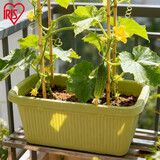 爱丽思（IRIS）种菜盆蔬菜种植箱塑料菜盆特大号阳台种菜神器户外花箱种花菜盆 【2个】中(50cm长)绿色 送隔网