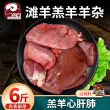 公羊新鲜羊杂冷冻生鲜半成品生羊杂批发心肝肺肚肠羊杂碎羊肉顺丰 6斤装小山羊心肝肺4套左右