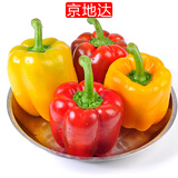 京地达山东彩椒红黄两色柿子椒 净重3斤 单果100g+起源头直发包邮