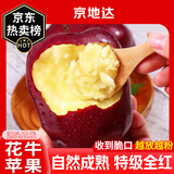 京地达甘肃天水花牛苹果水果净重8.5斤单果230g节日送礼源头直发包邮