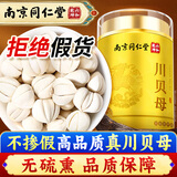 丽天承南京同仁堂真川贝母（非平贝母）20g精正品四川正宗可磨粉无硫熏