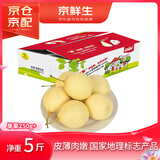 京鲜生 河北鸭梨 地标产品 净重5斤 单果250g+ 生鲜水果礼盒