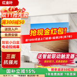 RedGoldLeaf红金叶电动拉线幕布投影仪幕布家庭影院8K高清抗光幕布电动遥控幕布投影幕布 【智能拉线幕】纳米白 150英寸16:9 【平整如镜】