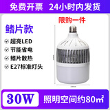 led灯泡球泡灯厂房照明灯工厂车间灯工矿灯大螺口节能灯 30W鳍片款-球泡灯【特价款】