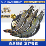 GUO LIAN国联特大号黑虎虾斑节虾 无冰盐冻净重2斤20-30只 海鲜水产生鲜