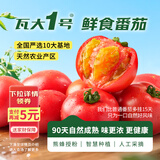 京鲜生&瓦大1号番茄自然熟酸甜爆汁 绿色食品西红柿净3斤单60g+源头直发