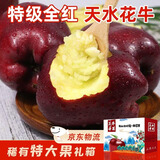 田良季甘肃天水花牛苹果【JD/顺丰-多地次日达】粉面蛇红老人新鲜水送礼 全红果9斤礼箱中果75mm+净8斤 精选全红果丨送到家
