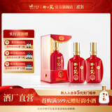 开口笑酒·陈酿12 浓香型白酒 湖南婚喜宴用酒尚品 聚会/送礼之选 50.8度 500mL 2瓶 【大喜版两瓶装】