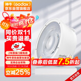 神牛（Godox）ML100Bi摄影灯双色温可调便携夜拍灯人像补光灯户外视频摄像灯 ML-L36透镜反光杯【官方标配】