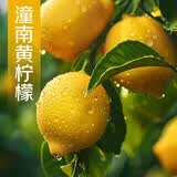 京觅重庆潼南黄柠檬2粒单果100-150g生鲜水果源头直发包邮