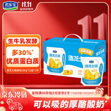 君乐宝涨芝士啦芝士口味180g*12壶低温生鲜 奶酪风味酸牛奶