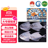 海鼎纪 舟山海捕大号银鲳鱼400g*2包 4条/包 生鲜鱼类