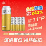 千島湖啤酒（CHEERDAY）全麦精酿啤酒500ml*12罐整箱装德式小麦浓郁麦香聚会送礼