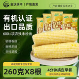 金沃瑞丰白糯有机白糯玉米棒(260g*8)  新鲜甜粘黏 杂粮粗粮早餐 非转基因