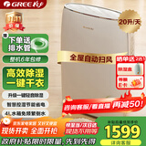 格力（GREE）【许我耀眼推荐】除湿机抽湿机家用20升/天低噪除潮除霉干衣机单间≤40平智能控湿24H定时DH20EF