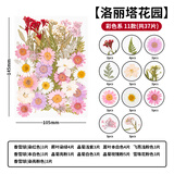 天色干花书签材料包创意手工制作小学生男女孩毕业纪念礼物植物标本洛丽塔花园彩色系37朵TS-6139