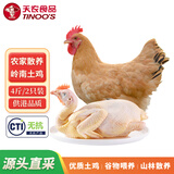 天农 供港土鸡（2斤*2只）山林散养清远岭南走地鸡 冷冻 源头直发