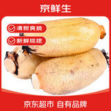 京鲜生天津莲藕脆藕 净重4.8斤荷塘月色脆嫩新鲜蔬菜源头直发