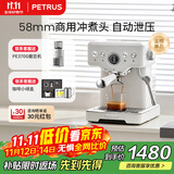 柏翠(petrus)咖啡机意式浓缩家用小型半自动蒸汽打奶泡 海盐小方PE3833+PE3700