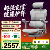 Ergonor保友金豪E2/金豪E2 Pro 高端人体工学椅 电脑椅办公椅家用电竞椅 【金豪E2】银白网 整椅发货 送货上门