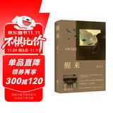 醒来 电视剧《麻雀》《惊蛰》原著作者 编剧海飞小说代表作（海飞作品，欧豪、古丽娜扎、江疏影主演电视剧原著小说）