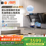 米家小米抽吸油烟机净烟机P1国家补贴以旧换新大吸力一级能效上门安装【天然气烟灶套装】免拆洗MJ04CY