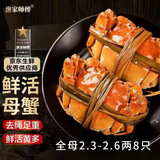 【活蟹】漁家师傅全母2.3-2.6两8只大闸蟹去绳足重鲜活螃蟹现货生鲜水产海鲜礼盒