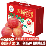 洛川苹果25年新品秦脆瑞雪维纳斯苹果水果礼盒水果生鲜送礼陕西延安特产 秦脆 20个80mm 礼盒装