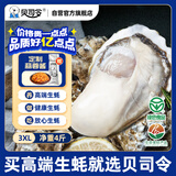 贝司令 鲜活乳山生态生蚝3XL 净重4斤 10-15只 生鲜源头直发