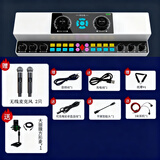 布谷鸟Y6声卡直播手机主播设备通用电脑降噪带货录音游戏直播户外声卡麦克风 豪华套 声卡+无线麦X2+振膜麦+耳机