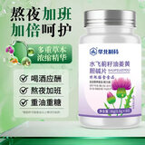 华北制药水飞蓟籽油姜黄胆碱片2瓶 奶蓟草呵护保养肝清解熬夜喝酒常备
