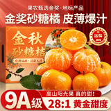 四叔公果蔬广西金秋砂糖橘【多地次日达】沙糖橘子桔子新鲜年货礼盒水果礼盒 【超甜】7A精选果｜单果20-25g 5斤爽吃装【超值推荐-80%买】蕞划算