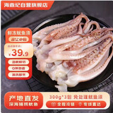 海鼎纪鲜切鱿鱼须净重900g 海鲜 烧烤火锅 铁板鱿鱼 300g/包*3包