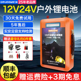 德力普（Delipow）12V锂电池 大容量多功能户外电源锂电瓶车载照明露营通用逆变器 12V 95A型【配背包等6件套】