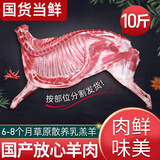 西牛优选羊肉 生鲜新鲜现杀半只羊套餐羊排蝎子烧烤火锅食材年货礼盒 半只羊10斤