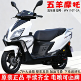 五羊全新款踏板车摩托车燃油原装整车电喷可上牌省油男女款外卖车 五羊牌一代高配 珍珠白