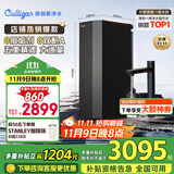 康丽根 Culligan 小黑龙净水器 家用厨下式净热一体机 直饮纯水机 RO反渗透饮水净饮机T2800 小黑龙即热净水器