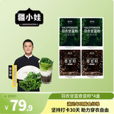 新休闲节庆食品送礼双十一送赠品营养即食独立包装35g/盒 奇亚籽2盒+羽衣甘蓝粉2盒 共4盒