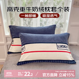 艾薇牛奶绒枕套法兰绒学生宿舍枕头套一个 清风韵律 48*74cm