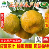 万春寨永春正宗芦柑 柑桔 橘子福建芦柑10斤新鲜当季水果桔子蜜橘子大果 【精品大果】果径80mm带箱10斤装
