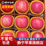静宁苹果 【顺丰到家】甘肃红富士苹果水果 新鲜应季静宁苹果 净重5斤装10-12枚75中果严选装