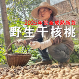 知尝新货陕西秦岭山生山核桃老品种油香核桃老树薄皮孕妇核桃原味清香 野生山核桃【5斤】中果