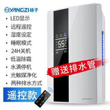 扬子（YANGZI）除湿机家用卧室吸湿干燥除潮抽湿去湿器防潮湿小型神器地下室 1L/天 遥控主图款丨遥控控制-睡眠模式-湿度设定