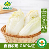 小汤山 娃娃菜 400g 基地直供新鲜蔬菜GAP认证