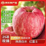 泉盛隆陕西白水红富士苹果2025新果时令水果脆甜可选节庆礼盒 红富士4.5斤75-80mm