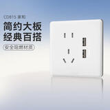 德力西(DELIXI)开关插座面板 CD815系列 二位USB五孔插座 QSE86ZS2U