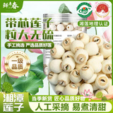 鲜丰春无硫带芯白莲子干货湖南特产湘潭莲子2025年特新鲜级莲子250g