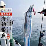 秋诗鲜湘精品钓带鱼特大鲜冻 带鱼 整条刀鱼 海鲜水产 生鲜鱼类 5斤装（半斤一条）