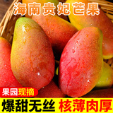 甜果源 七彩贵妃芒果 老树芒果海南大青皮水果仙台新鲜树上现摘芒果水果 净重9【单果100-150g】 精选果